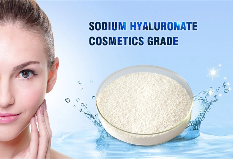 99% Hyaluronic Acid Powder, Low Molecular Weight, Moisturizing and Whitening, Top Cosmetic Ingredients Anti-Aging