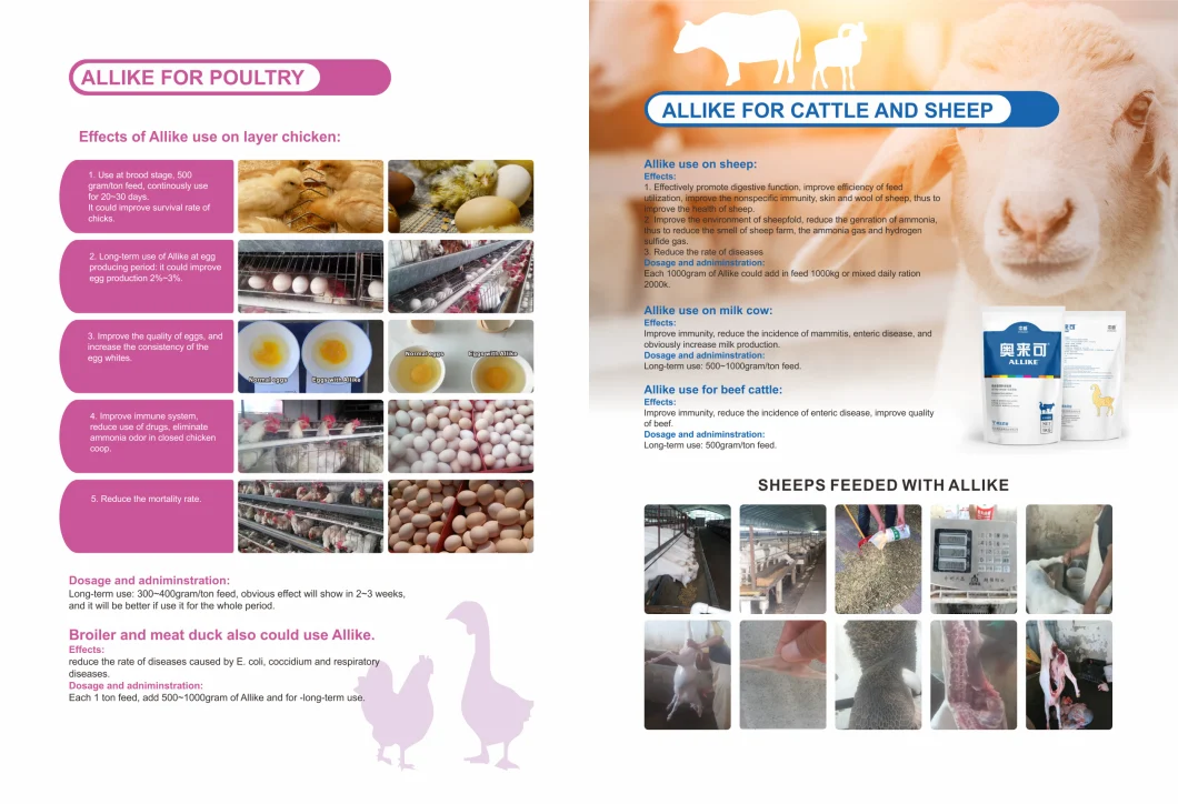 Veterinary Feed Additives Allike Promoting Animal Growth Weight Gain for Chicken Pig