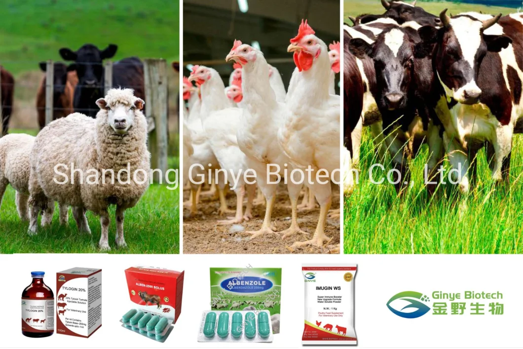 Animal Feed Additive Customized Inhibitor Mycotoxin Remover for Poultry Farm